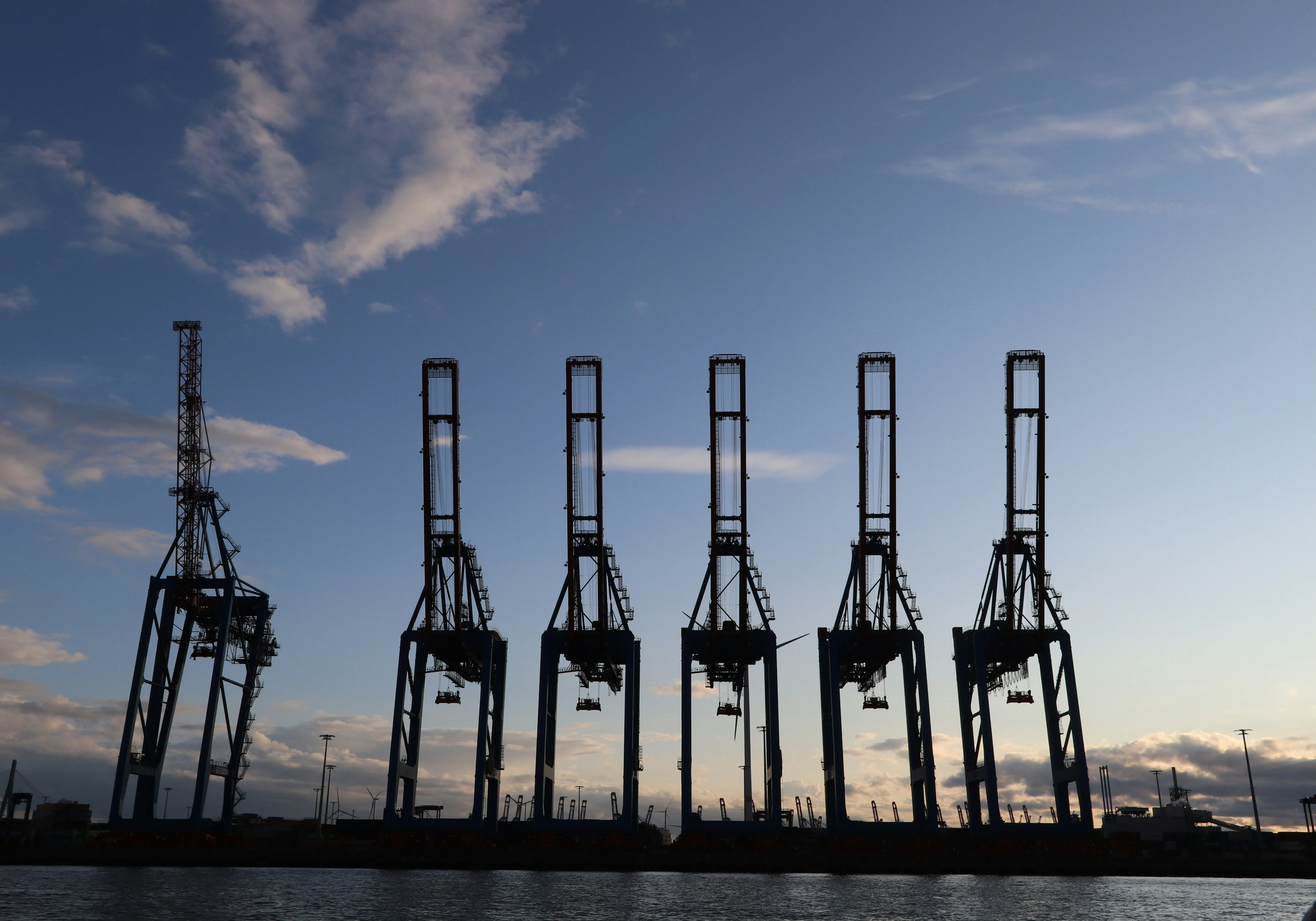 Container gantry cranes silhouetted against the sky at a port terminal